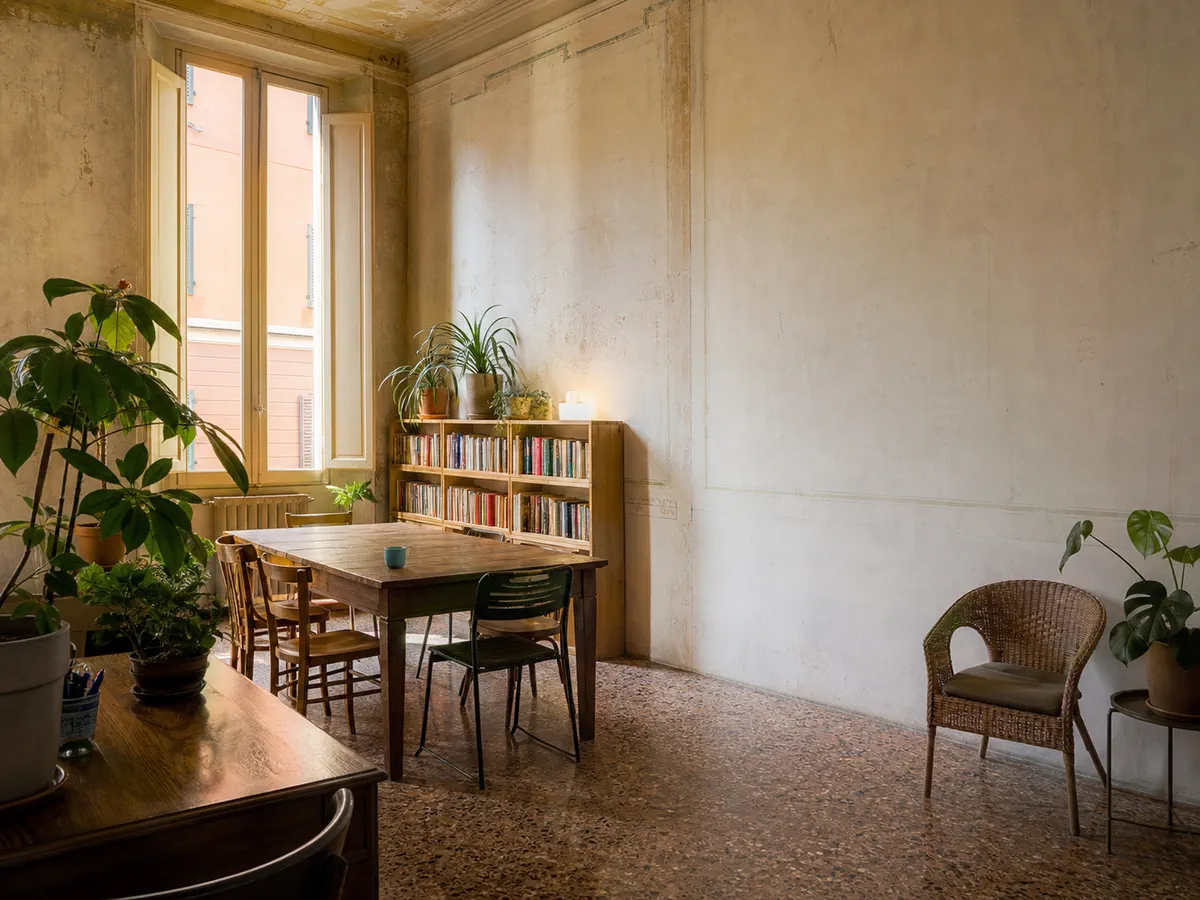 A sunlit room with wooden tables, chairs, plants and bookshelves